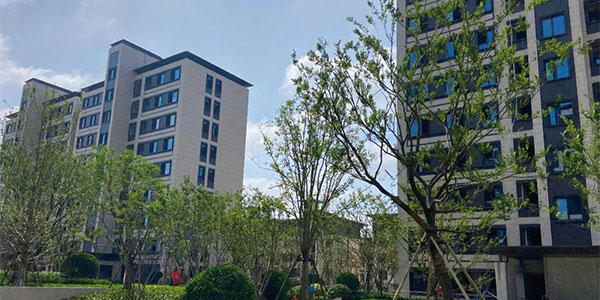 未標題-3